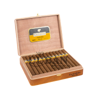 Cohiba Esplendidos